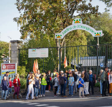 Grande marche citoyenne contre le BIP