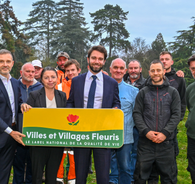 La première fleur de Montmorency