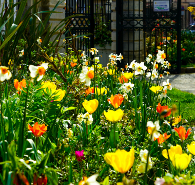 Montmorency en fleurs