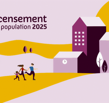 image recensement 2025