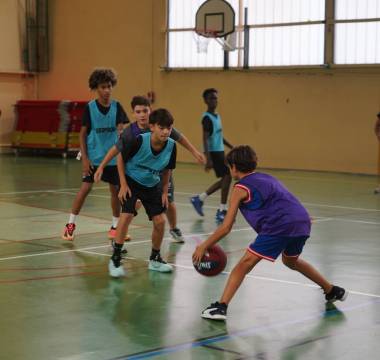 Grand tournoi de basket